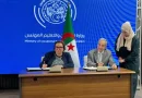 Formation professionnelle : Une convention-cadre pour arabiser les contenus pédagogiques