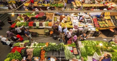 Baisse mensuelle de 0,3% des prix à la consommation : L’inflation ralentit en avril