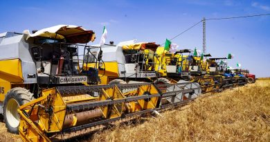 Campagne de moisson-battage à Constantine : Plus de 2,5 millions de quintaux de céréales attendus