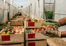 Maroc : Le Makhzen inonde l&rsquo;Europe de produits toxiques