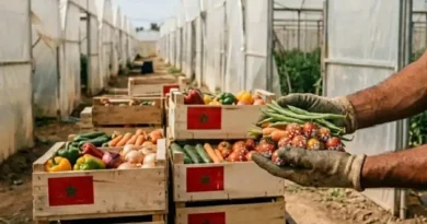 Maroc : Le Makhzen inonde l&rsquo;Europe de produits toxiques