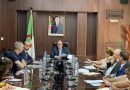 Programmes prévisionnels d&rsquo;importation : Des mesures pour fluidifier les procédures
