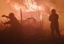 138 incendies maîtrisés en 24 heures : Mobilisation générale face aux feux de forêts