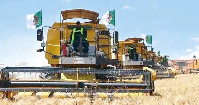 Skikda : La campagne moisson-battage s&rsquo;annonce prometteuse