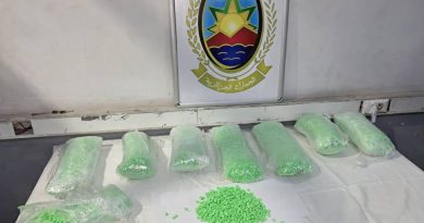 Port d’Alger : près de 40 000 comprimés d’ecstasy saisis Port d’Alger : près de 40 000 comprimés d’ecstasy saisis