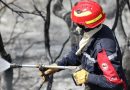La Protection civile parvient à maîtriser l&rsquo;essentiel des foyers : 1 460 incendies enregistrés depuis début juillet