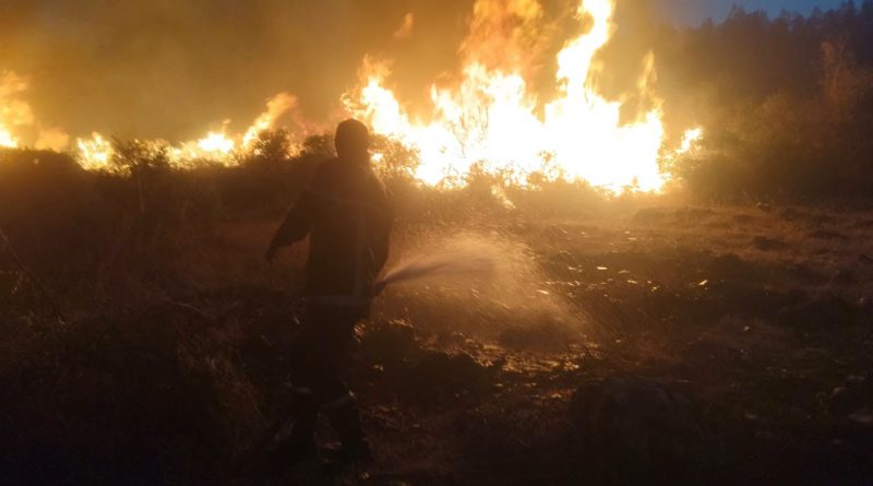 Les feux de forêts font six morts : Les walis sommés d’évaluer les dégâts