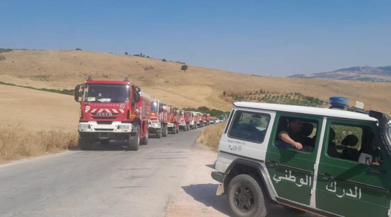 Feux de forêt : Mobilisation générale, l&rsquo;ANP en renfort sur le terrain