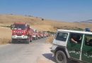 Incendies de forêt dans plusieurs wilayas de l&rsquo;Est : Forte mobilisation pour venir à bout des brasiers