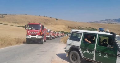 Incendies de forêt dans plusieurs wilayas de l&rsquo;Est : Forte mobilisation pour venir à bout des brasiers