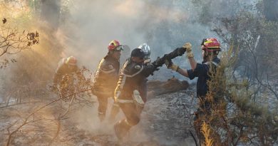 Les feux de forêt ravagent plusieurs wilayas du pays : Une mobilisation sur tous les fronts