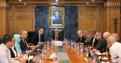 Mine de Gara Djebilet et PPI : 5 ministères mobilisés pour accélérer la cadence