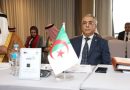 Le président Tebboune a signé le décret lundi : Saâd Arous nommé à la tête de l&rsquo;ANIE