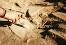 Archéologie : 8e campagne de fouilles sur le site de Marsa Eddadjadj