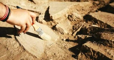 Site de « l’homme de Tighennife : Les fouilles relancées Site de « l’homme de Tighennife : Les fouilles relancées