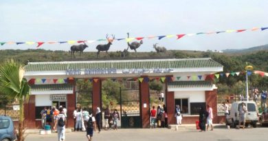Parc zoologique de Jijel : Le cap des 10 000 visiteurs franchi en une journée