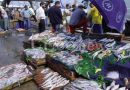 Annaba : La vente directe fait reculer les prix des produits halieutiques