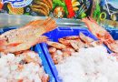 Khenchela : Une première récolte de Tilapia rouge pour alimenter le marché national
