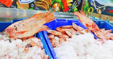 Khenchela : Une première récolte de Tilapia rouge pour alimenter le marché national Khenchela : Une première récolte de Tilapia rouge pour alimenter le marché national