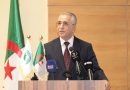 Élections locales : Arous appelle à une « coordination parfaite »