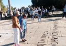10.000 visiteurs en trois mois : Le musée d’Hippone retrouve son public