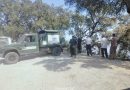 Annaba : Les forêts sous surveillance