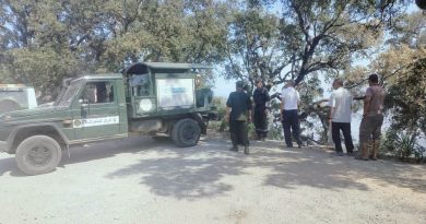 Annaba : Les forêts sous surveillance