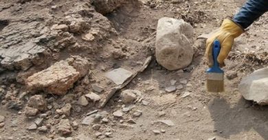 Agence nationale d&rsquo;archéologie : Le Président Tebboune veut une « révolution scientifique »