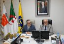 Automobile : Naftal et Stellantis veulent muscler leur partenariat