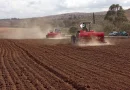 Constantine accélère les préparatifs de sa campagne labours-semailles : Tous les moyens mobilisés pour renforcer la production céréalière