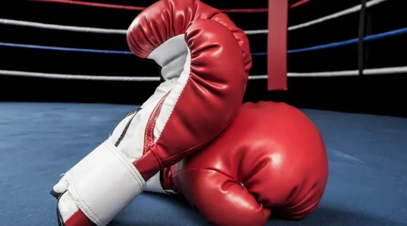 Boxe:  Les gants algériens s’illustrent en juniors et en séniors