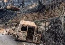 Incendies de forêts : aveux, chantage et argent sale/ Les dessous d&rsquo;un complot ourdi depuis l&rsquo;étranger contre l&rsquo;Algérie