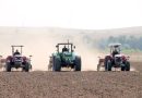 Oum El Bouaghi : Près de 189 000 hectares réservés à la céréaliculture