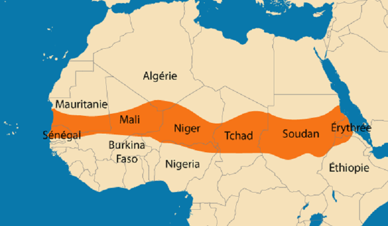 El « Djeich » met en garde contre les manœuvres visant à saborder les relations de l’Algérie avec ses voisins : Un engagement ferme envers le Sahel